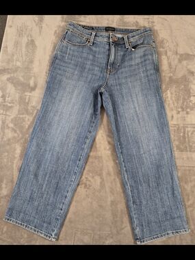 Talbots Store Pipe Crop Jeans Size 4P Medium Wash Straight Leg Denim (019)